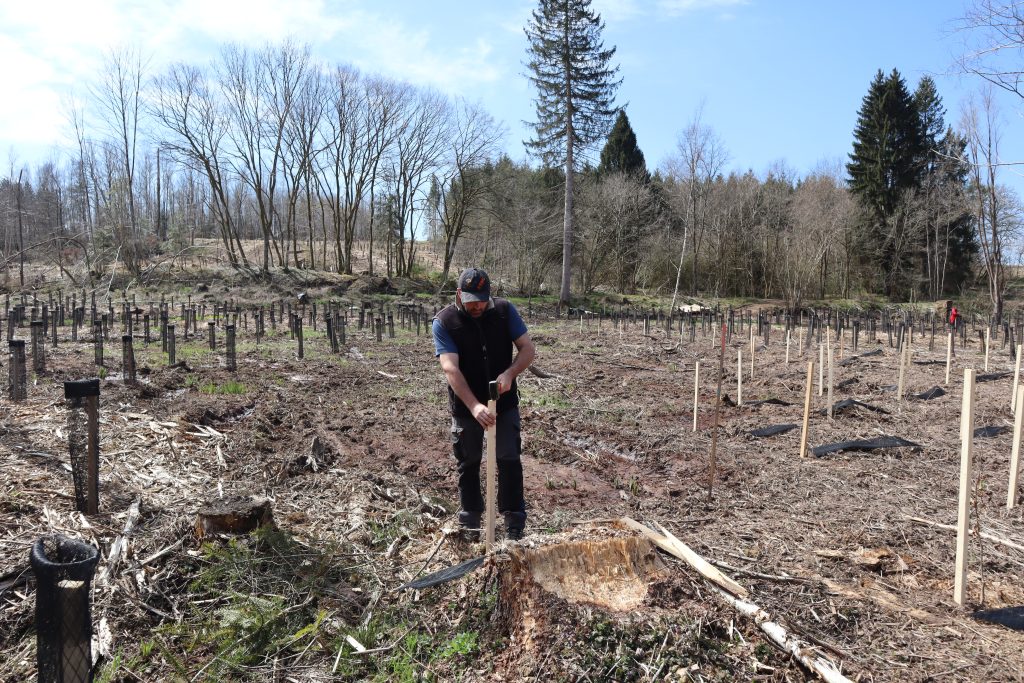 Plantation et protection