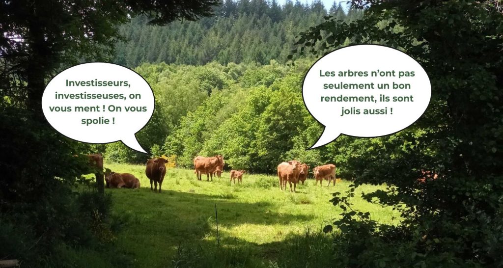 Acheter des arbres, bonne idée ?