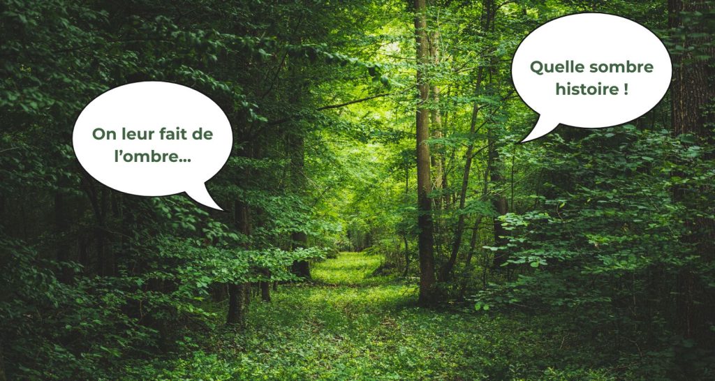 Les arbres, bon investissement ou arnaque ?