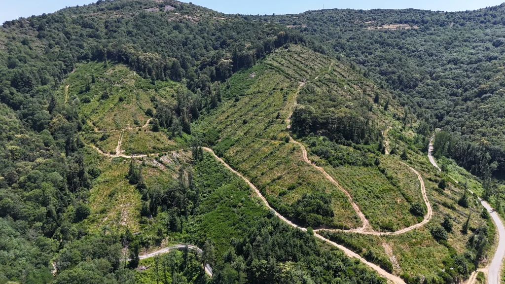 Forêt EcoTree - Ajoux