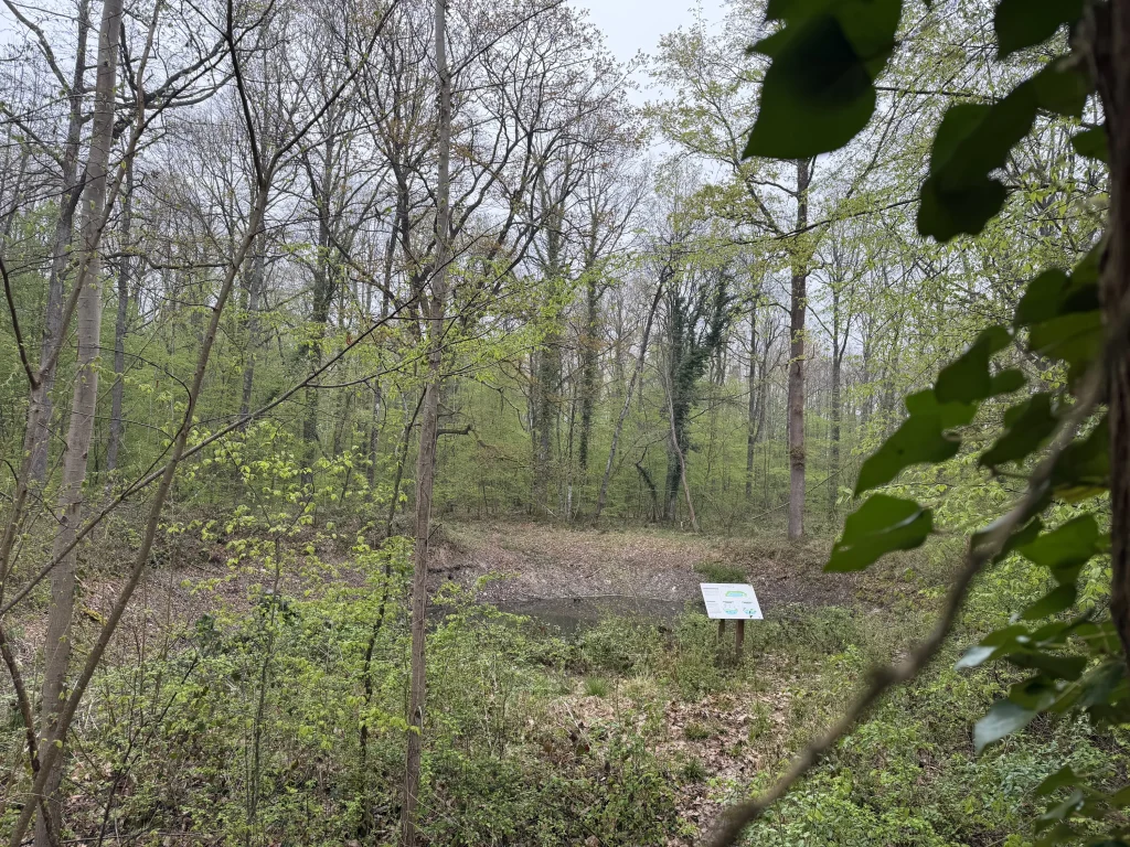 Forêt de Pézarches - EcoTree